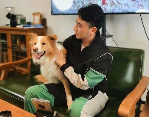 林生斌内部爆料视频,事件背后惊人真相  第1张